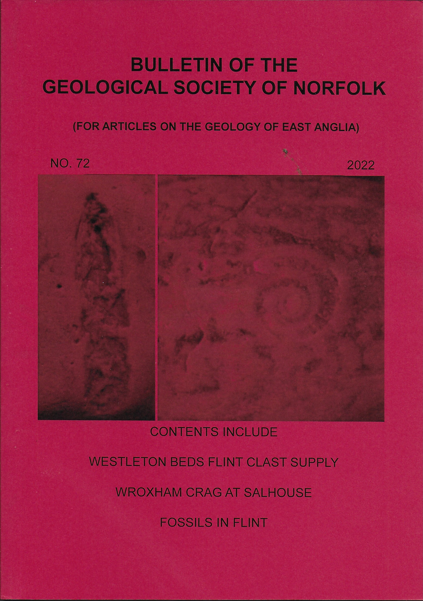 Bulletin of the Geological Society of Norfolk. - No. 72 (2022)